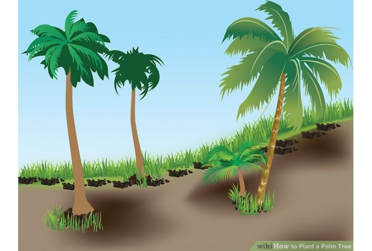 Government tenders for PAM Plant New Process procurement